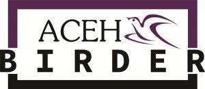 Logo AcehBirder