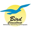 bird consultant_100x100