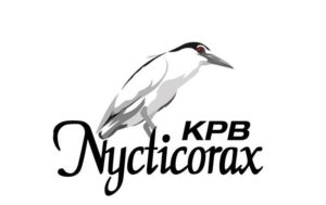 nycti logo new